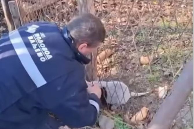 Spasavanje psa u Valjevu Spasavanje psa u Valjevu
