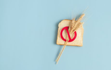 Pšenica klas hleb tost gluten