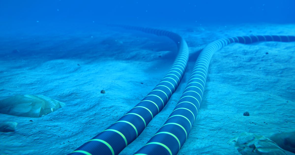 Shark Legend a Lie? The Secret of the First Optical Cable on the Sea Floor