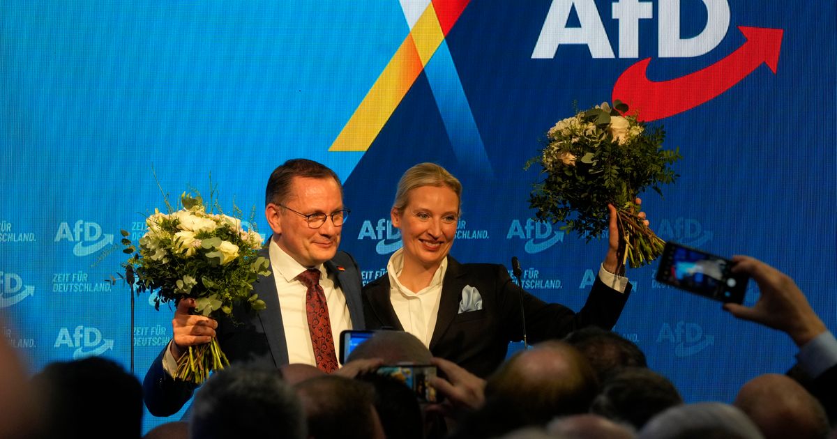 Prve reakcije iz AfD na rezultate izbora u Nemačkoj: "Spremni smo"