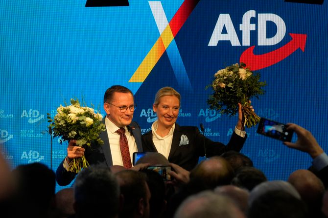 Alis Vajdel AFD