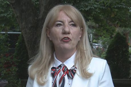 DUŠICA DAVIDOVIĆ DUŠICA DAVIDOVIĆ