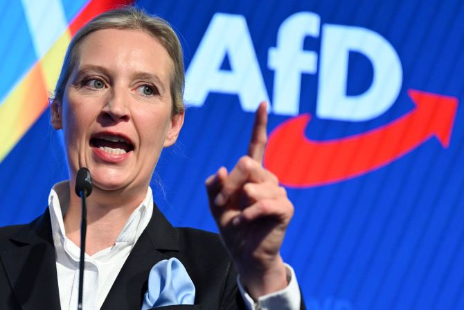 Alice Weidel Alis Vajdel