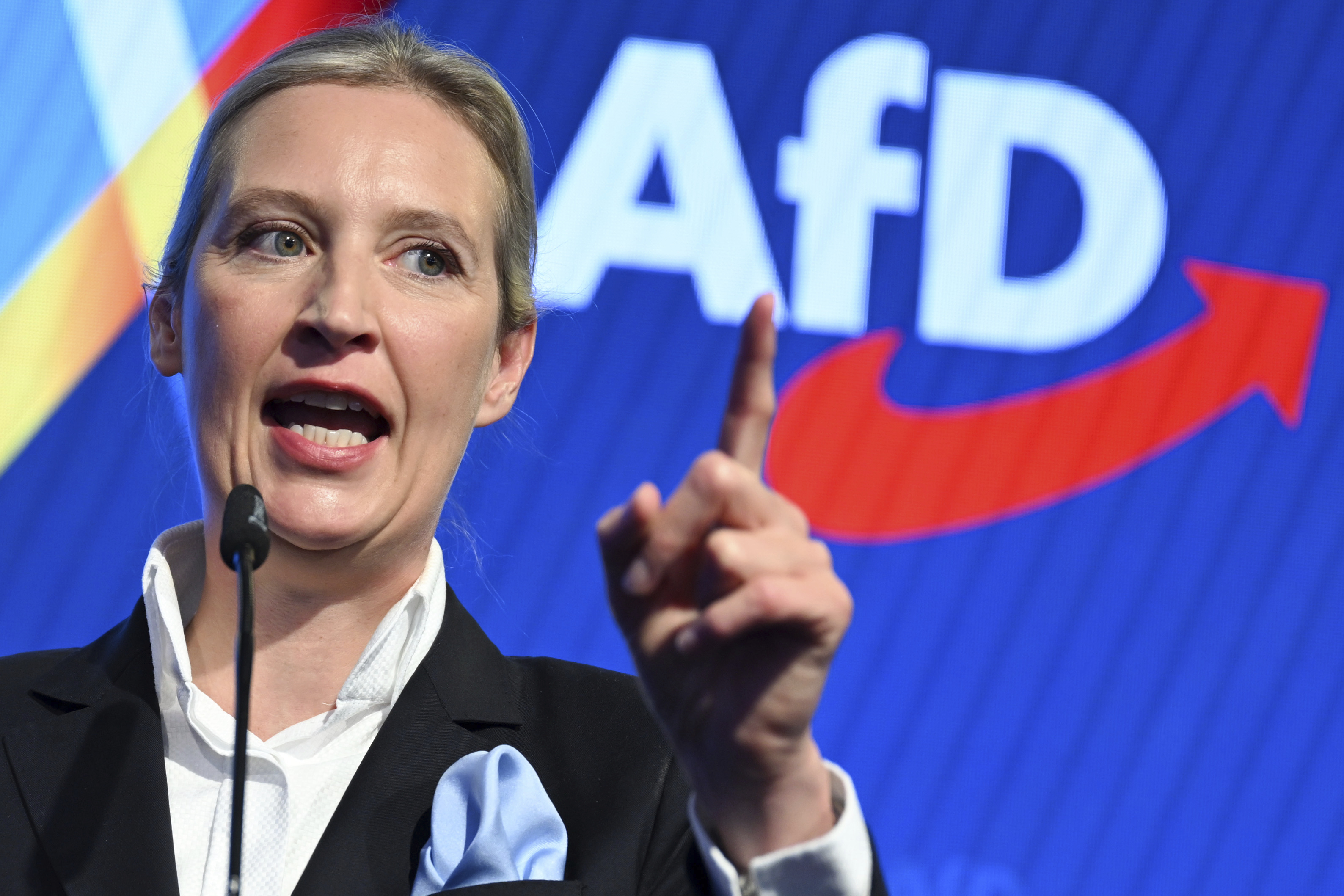 Šefica AfD-a: Ako dođemo na vlast ukinućemo evro, zatvoriti granice i izaći iz Šengena