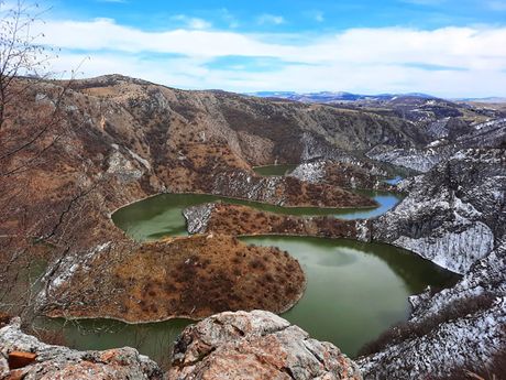 Kanjon Uvca, beloglavi supovi