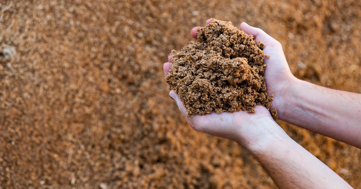 Od otpada do inovacije: Kako pivski nusproizvod menja gastronomiju i modu