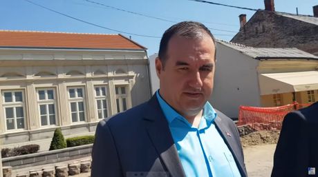 nenad stankovic guska