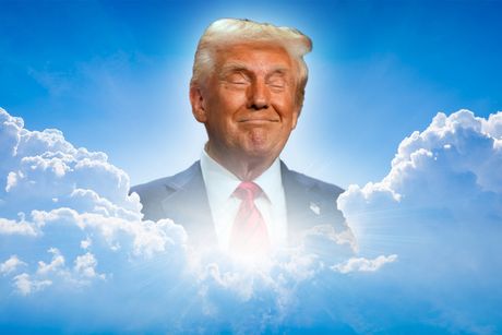 Donald Tramp Donald Tramp