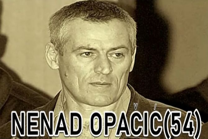 nenad opacic