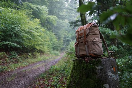 ranac, šuma ranac, šuma