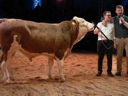 Bik prodat za 94.000 evra