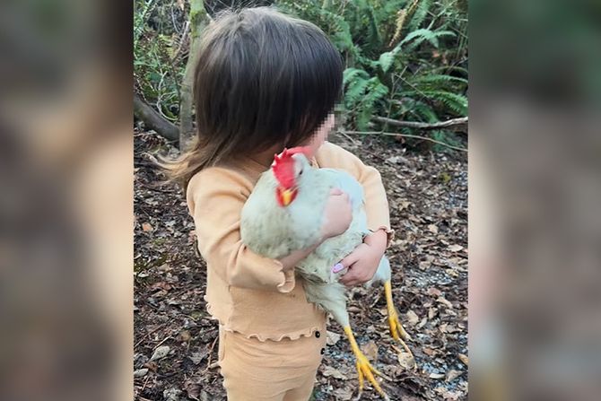 dete i kokoska dete i kokoska