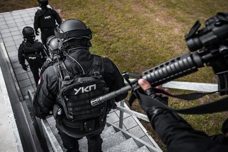 UKP, Uprava kriminalističke policije UKP, Uprava kriminalističke policije
