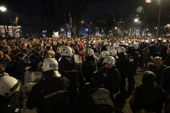 Pionirski park protest