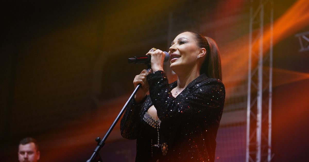 Ceca prekinula koncert! Obratila se publici sa posebnom molbom za pomoć i pokazala koliki je čovek