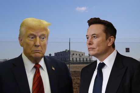 Donald Tramp, Ilon Mask, Fort Noks Donald Tramp, Ilon Mask, Fort Noks