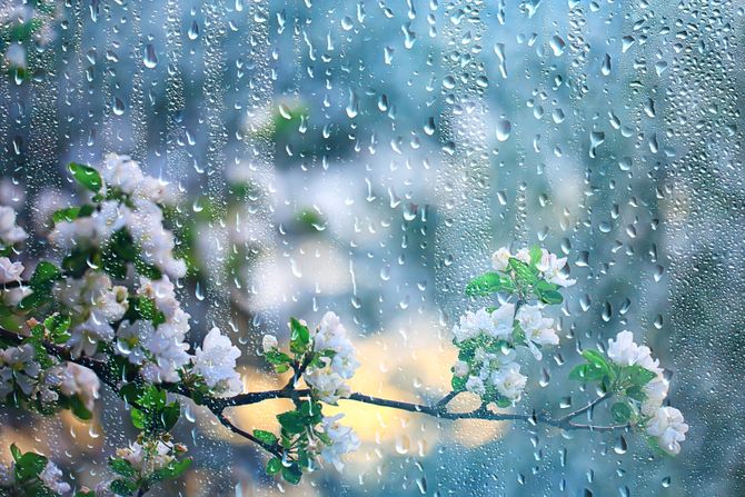 Proleće kiša Proleće kiša