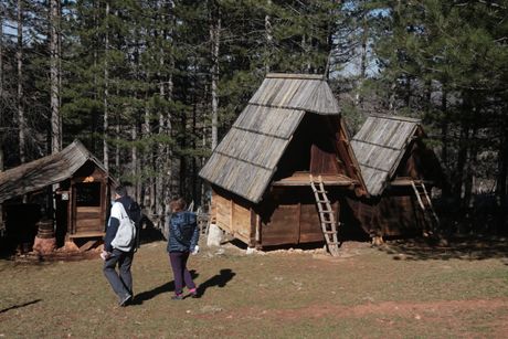 Zlatibor