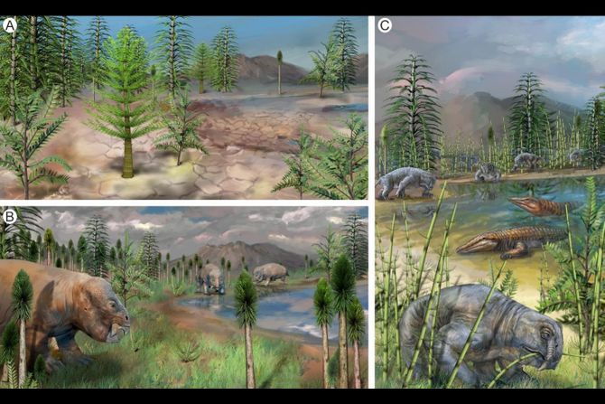 Permsko-trijasko izumiranje Permsko-trijasko izumiranje