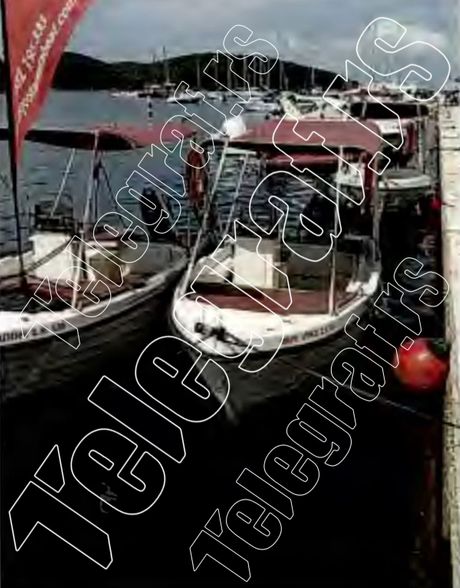 Veljko Belivuk, ubistvo, Krf, plaza