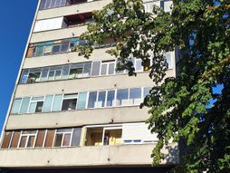 Zgrada, Novi Beograd, stan