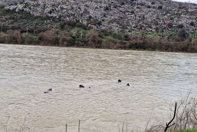 Morača, potraga za Ivanom i njenim sinom