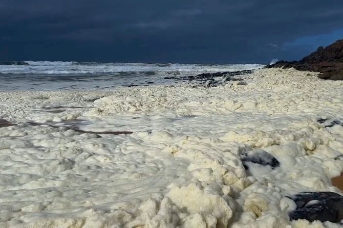 australija, čudna pena australija, čudna pena
