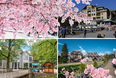 Proleće, Kopaonik, Zlatibor, Soko banja Proleće, Kopaonik, Zlatibor, Soko banja