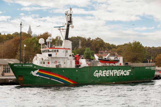 Greenpeace, Grinpis