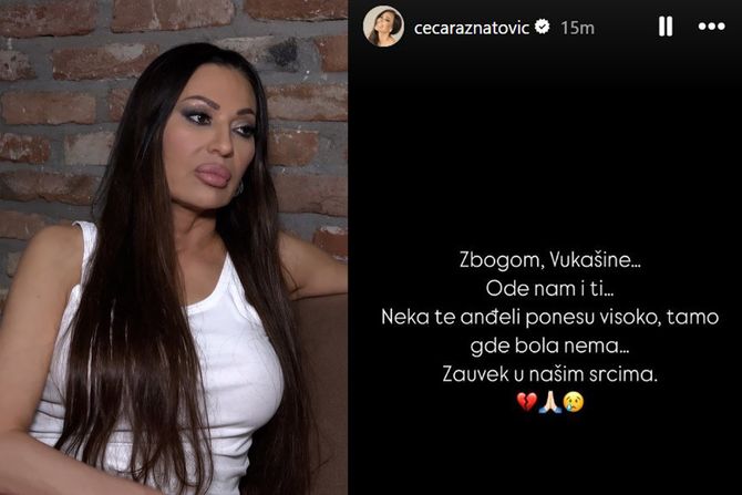 Ceca Ražnatović, Vukašin