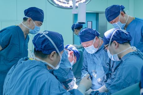 Operacija, transplantacija, svinjska jetra Operacija, transplantacija, svinjska jetra