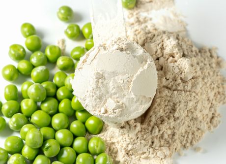 Protein od graška Protein od graška
