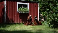 Lepo dvorište i srećan pas ne "idu zajedno": Sa ova TRI SAVETA ćete sačuvati travu i usrećiti ljubimca