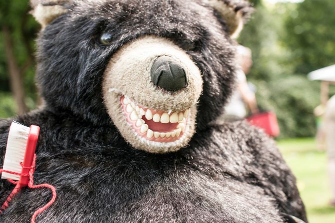 kostim medveda kostim medveda