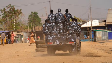 Sudan, rat
