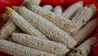 Kako se zove okrunjeni klip kukuruza? Pitali su Srbe i dobili desetine odgovora - NIJEDAN NIJE ISTI!