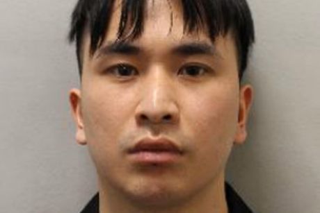 Zhenhao Zou Zhenhao Zou