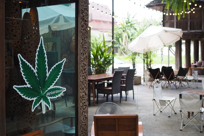 kafić, prodaja marihuane kafić, prodaja marihuane