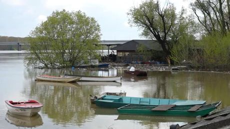 Sava, Šabac