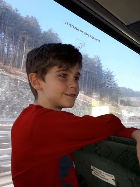 Milica Stojanović, Vukova putovanja