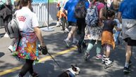 38. maraton u Beogradu domaćin 4. šetnje odgovornih vlasnika pasa: Ne zaboravite na pravila manifestacije