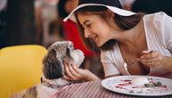 Odlazak sa psom u restoran ponekad je prava noćna mora: 4 pet frendli pravila za vlasnike i ljubimce