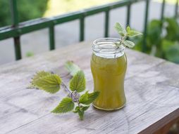 sok od koprive, kopriva, recept za sok od koprive, sok od koprive recept, sok