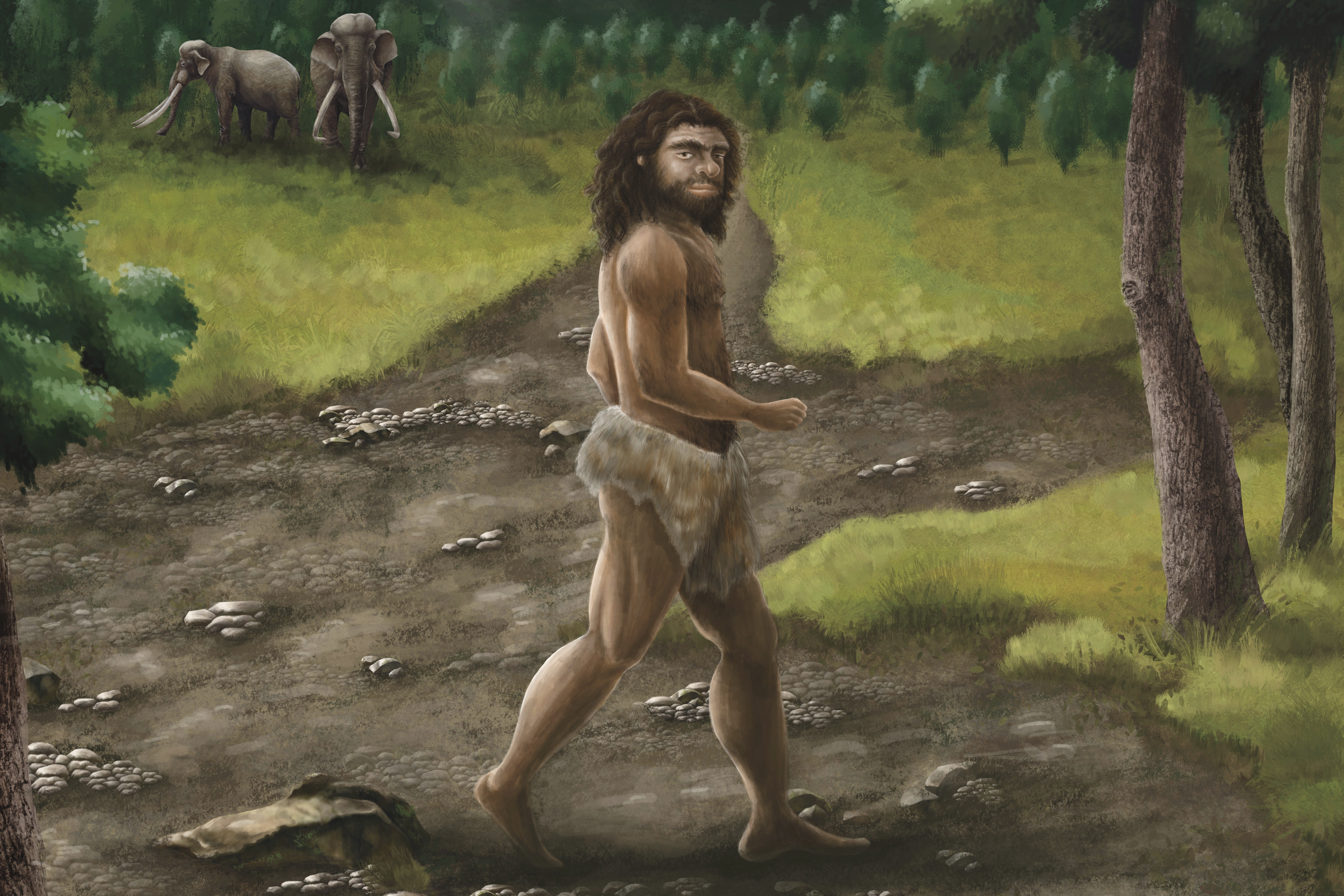 Da li su se homo erektus i denisovci parili? Proteini iz zuba ukazuju na drevne susrete