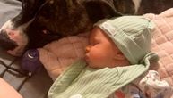 Pitbul izujedao bebu nasmrt, roditelji neutešni: "Uvek ju je štitio, bio je njena senka, a onda..."