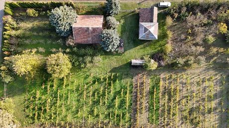 Bio Salaš, Subotica Bio Salaš, Subotica