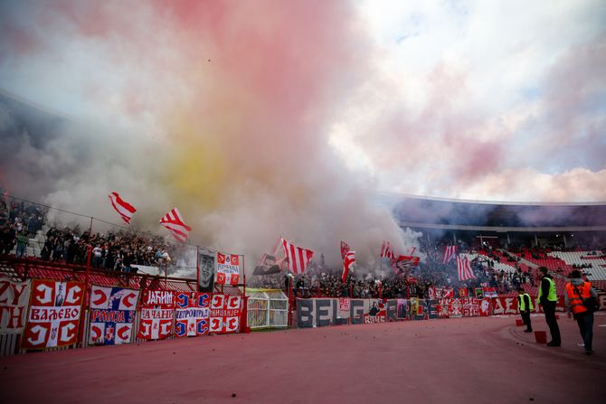 Navijači Crvene zvezde, Delije