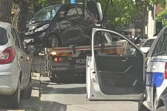 Pauk udario u drvo vozilom koje je uklanjao sa ulice