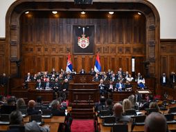 Sednica, izbor nove Vlade