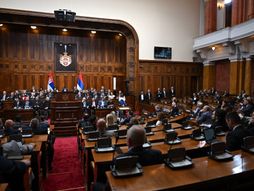 Sednica, izbor nove Vlade